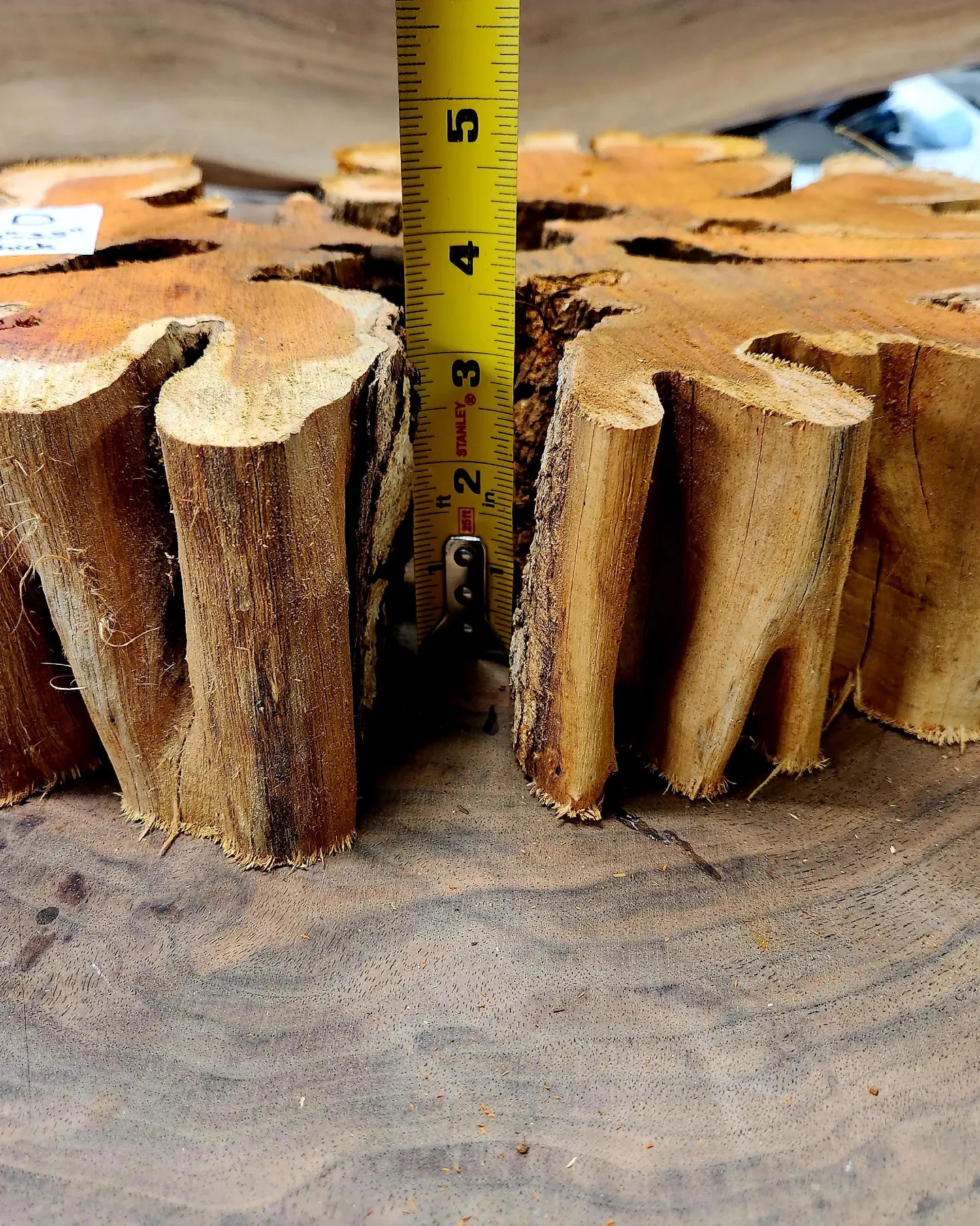 Brasiletta Cookies Wood